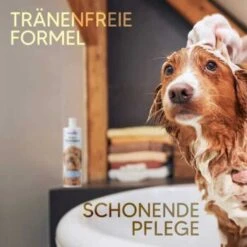 Pawlie's Welpenshampoo 10 Pawlie's Welpenshampoo -Ruffwear Verkäufe f56801adb1bee6d0b5fdd328d641fa773ce5d4c4 1626204 de DE 7b87b87a2e48e8c0e12b98c918c4d75b538aae40E5TfEc
