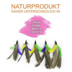 Schlitzohr Katzenangel Federanhänger 5x -Ruffwear Verkäufe f6a96b93601c3b2f6f7420ade3ecfe56542cca74 1484675 de DE b1d2fd29ad67016b9a6af908251d348edfa467f2BG8aWR