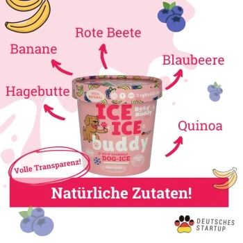 BeG Buddy Starter-Kit Hundeeis, Eis, Blaubeere 3 BeG Buddy Starter-Kit Hundeeis, Eis, Blaubeere – Bild 3