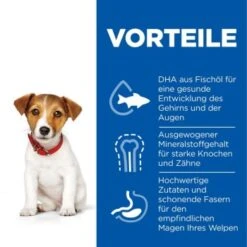 Hill's Science Plan Small & Miniature Puppy Mit Huhn 3 Kg 11 Hill's Science Plan Small & Miniature Puppy Mit Huhn 3 Kg -Ruffwear Verkäufe f99e800bdba85688d025c611ec54227734f1645a 52742281704 4
