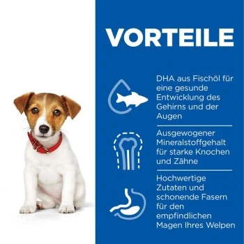 Hill's Science Plan Small & Miniature Puppy Mit Huhn 3 Kg 4 Hill's Science Plan Small & Miniature Puppy Mit Huhn 3 Kg – Bild 4