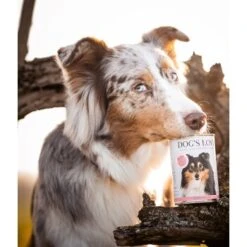 DOG'S LOVE Adult Hypoallergen 6x400g 7 DOG'S LOVE Adult Hypoallergen 6x400g -Ruffwear Verkäufe f9f1fc4aa515eab49cf2248bceb6cc0121fe13fb 1274558 1