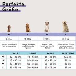 STUCH Geschirr Hund Gepolstert Schwarz XS -Ruffwear Verkäufe faead16826f5716adb76ac8b6986319f92d9537c 1410595 de DE c7d10043cfc3a8cb4000a14b28c9e8ccaa90c0d7I1BbrZ