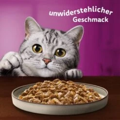 Whiskas Pure Delight Mega Pack Geflügel Ragout In Gelee 40 X 85g -Ruffwear Verkäufe fb884326dc9636e4843c68e11f5586233a08be8f 1410723 de DE Whiskas 8