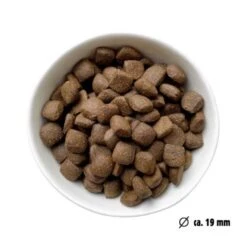 Eat Small EatSmall 3x2kg Maxi Active Trockenfutter 9 Eat Small EatSmall 3x2kg Maxi Active Trockenfutter -Ruffwear Verkäufe fbbfaf0a833b49c22c426aa2a84c1e89a7061771 1492081 de DE 7be7b6abbd10a501ad4eda906b0ca458956766a1RjBOXJ