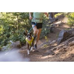 Ruffwear Trail Runner™ Leine -Ruffwear Verkäufe fd7d3d8f2faefaea1b25b1fb658e0a571fc3fec8 1651448 de DE 059aee675e2089a3f3904e6bcb227b6b71f8e4a2YMTgrx