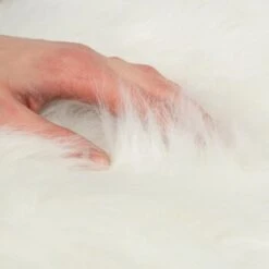 Canadian Cat Company Filzlounge AVA Beige M -Ruffwear Verkäufe fd8b746ad0dc996bb62efc39f6c670f6be8df30e 1360999 de DE c86a4e6d9ceba2c1e55f3f753eeda095c89215723XoDPL