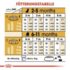ROYAL CANIN Französische Bulldogge Puppy 10 Kg -Ruffwear Verkäufe ff0292c510f1f322c698e88875c2b068b1f25193 aa5c12039cc549ee5e88804536b7e01d9d5c8573